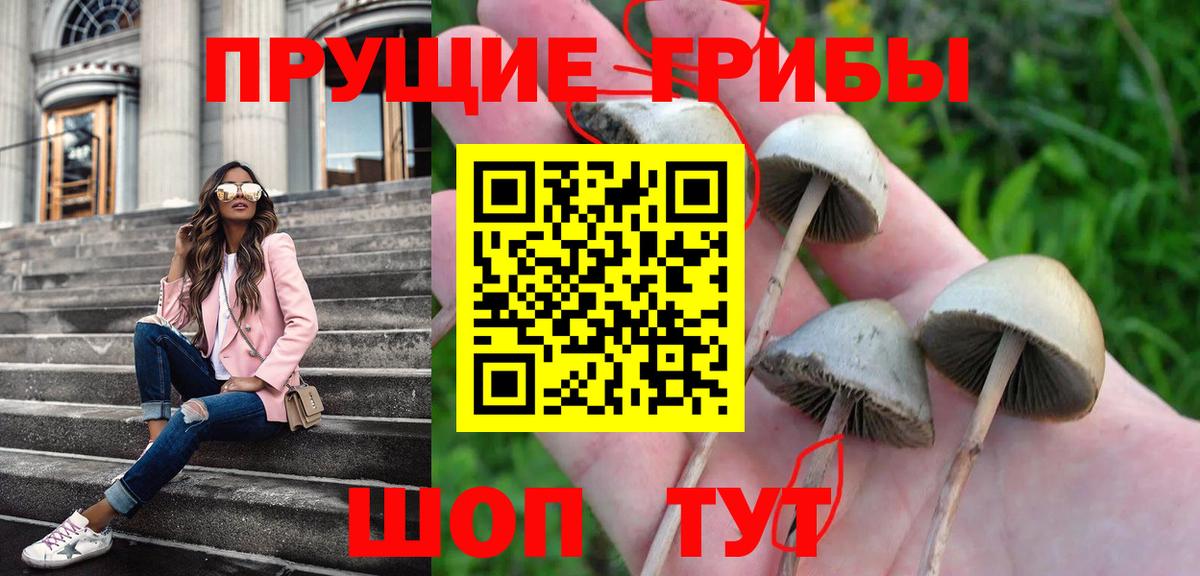 Псилоцибиновые грибы мухоморы Беслан